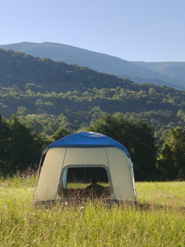 Practice Intensive 2025 – 38