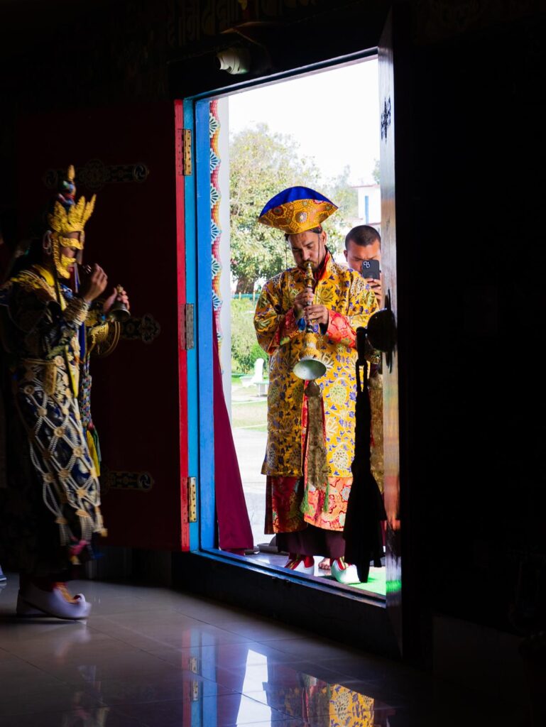 Thugje Chenpo 2025-03-16 at 22.27.15 (3)